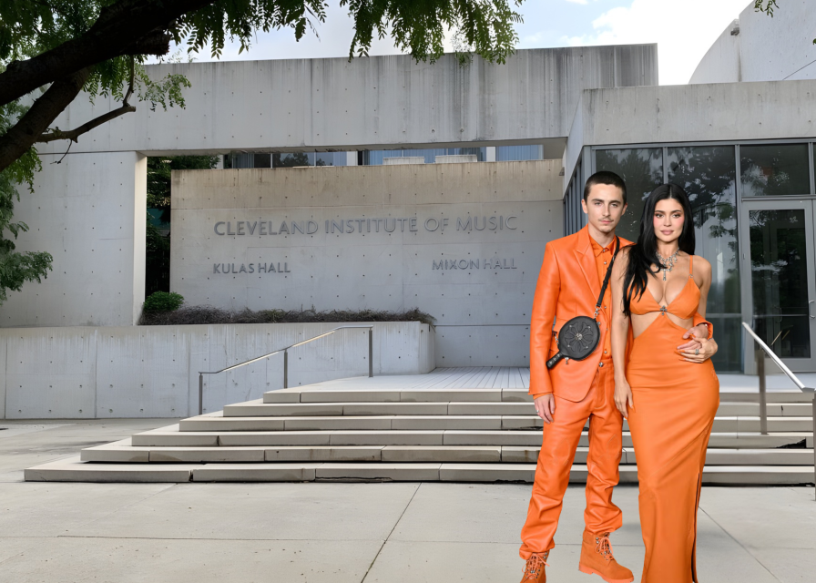 Timothée Chalamet as Director of Opera